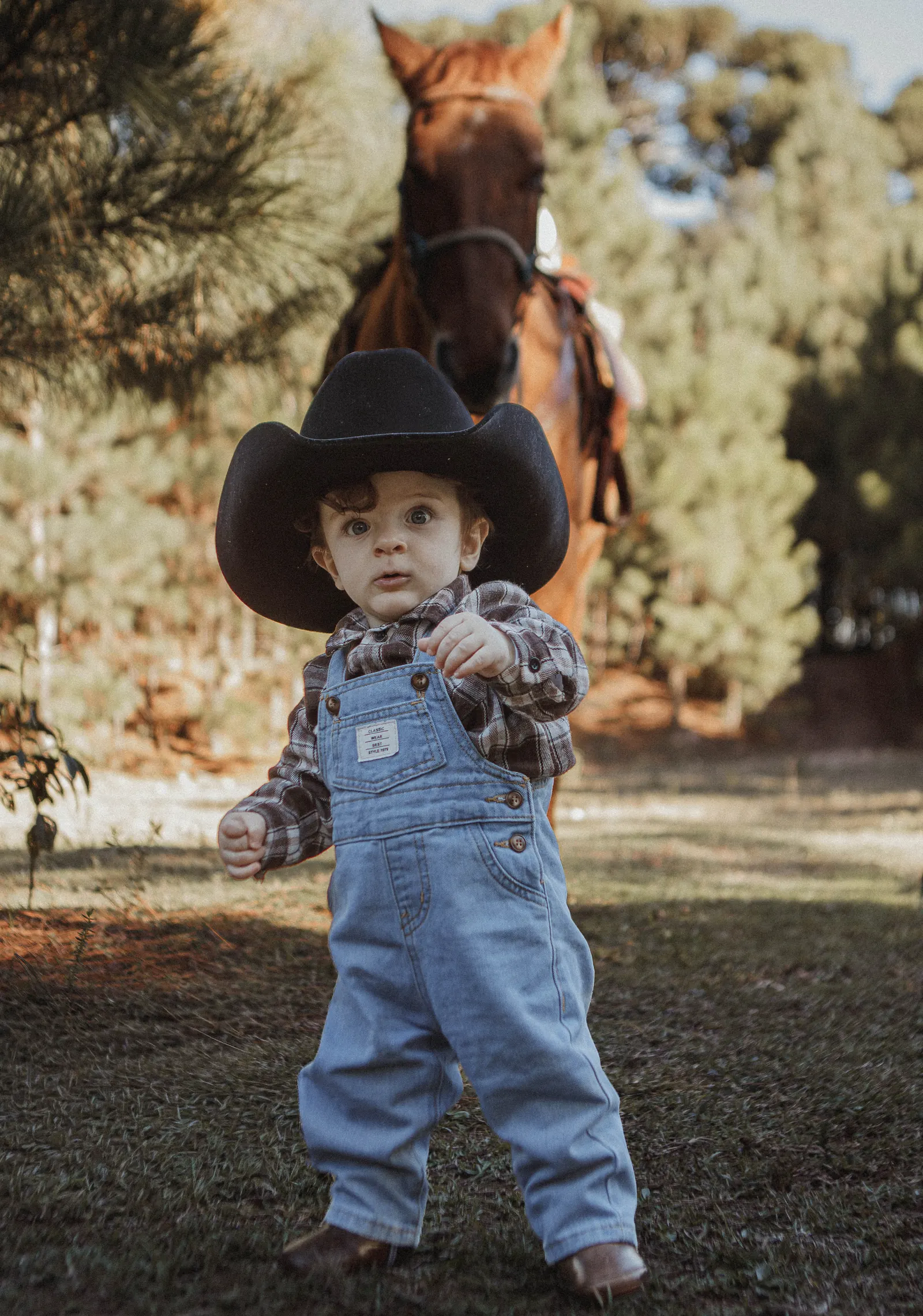 Fotografia de festa infantil realizada por Vanessa Sokachewski em Curitiba